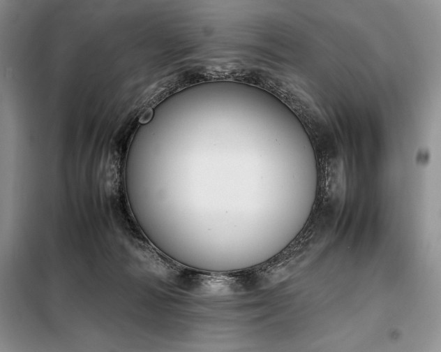 X0000098190226200805011131