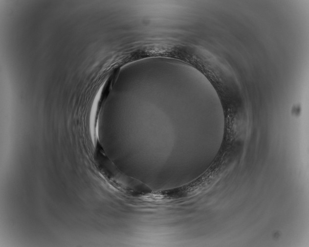 X0000098190227200805011131