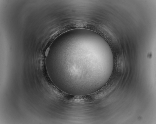 X0000098190228200805011131