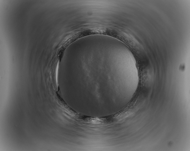 X0000098190229200805011131