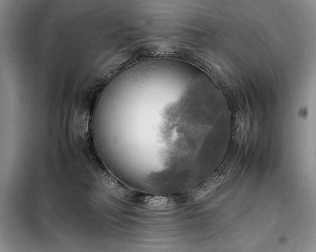 X0000098190230200805011131