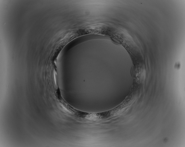 X0000098190231200805011131