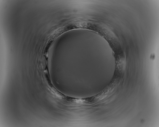 X0000098190233200805011131