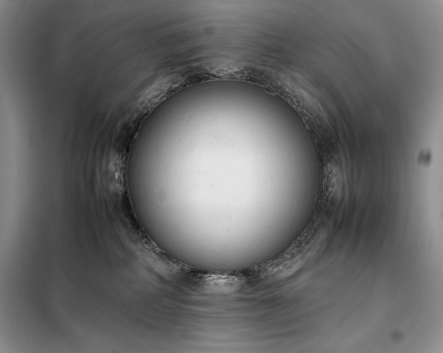 X0000098190234200805011131