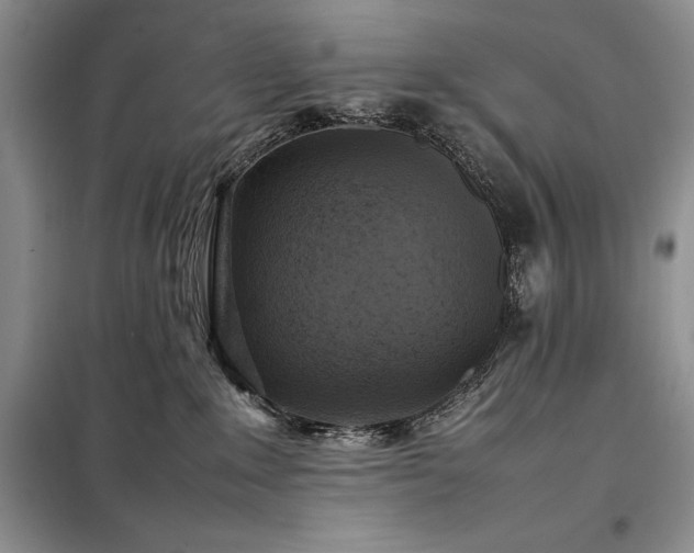 X0000098190235200805011131
