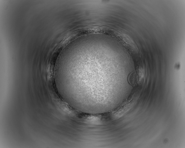 X0000098190236200805011131