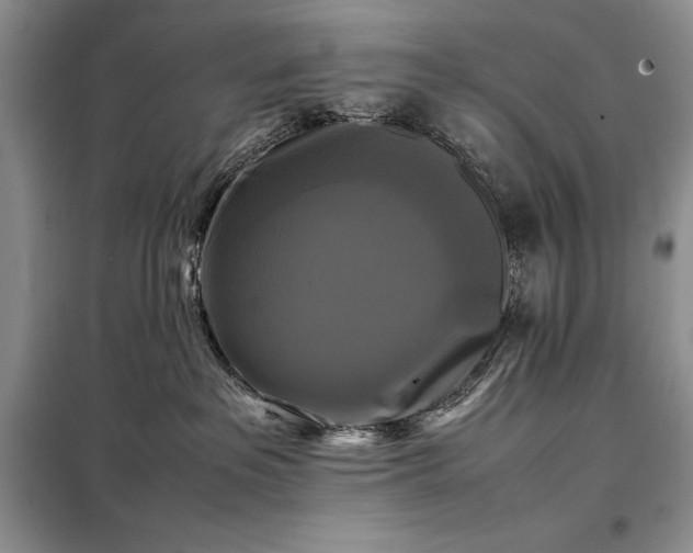 X0000098190237200805011131