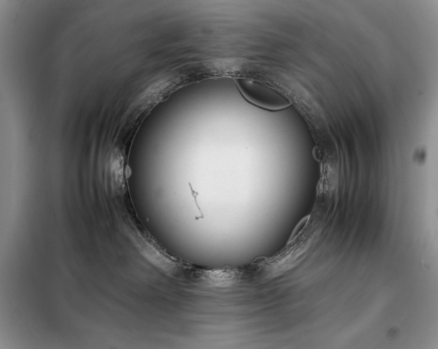 X0000098190238200805011131