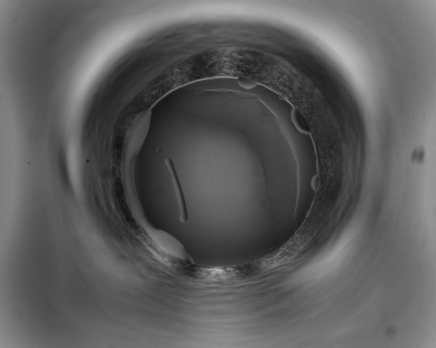 X0000098190239200805011131