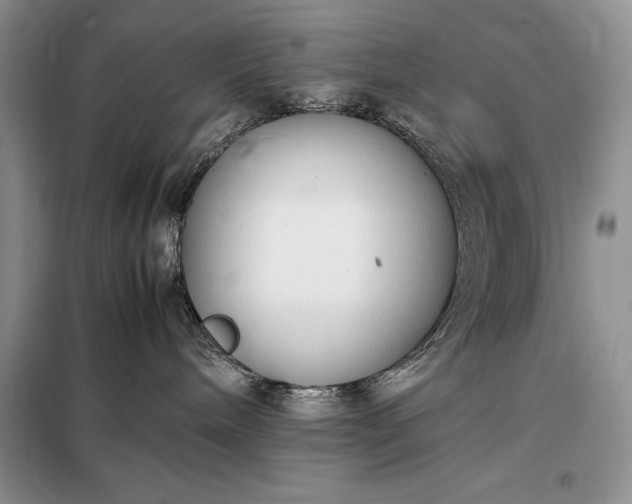 X0000098190240200805011131
