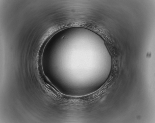 X0000098190242200805011130
