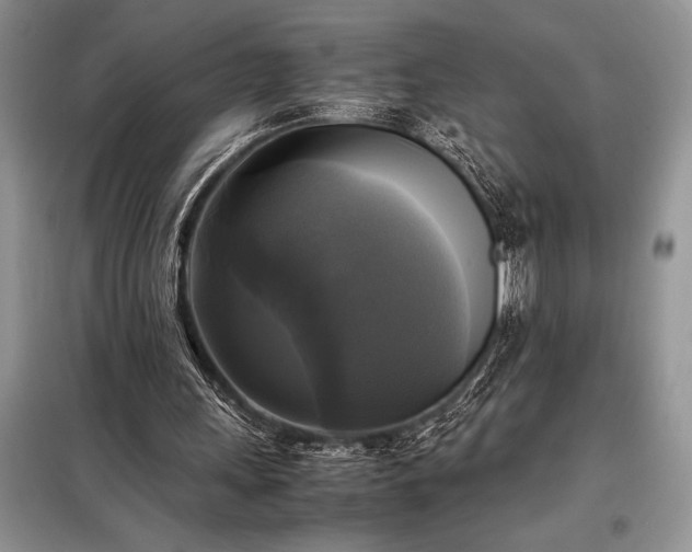 X0000098190243200805011130