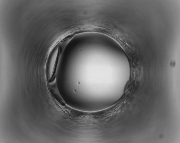 X0000098190244200805011130