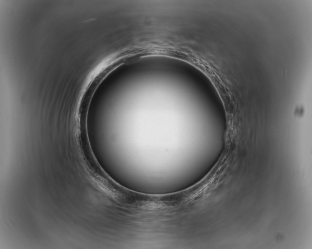 X0000098190246200805011130