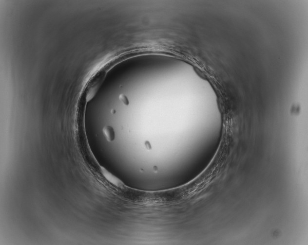 X0000098190248200805011130