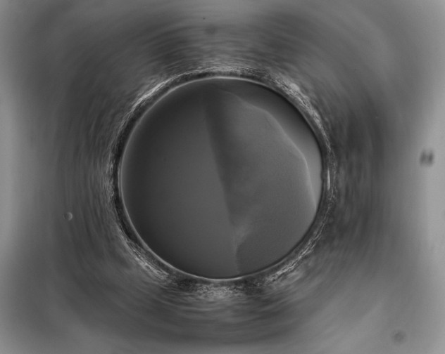 X0000098190249200805011130