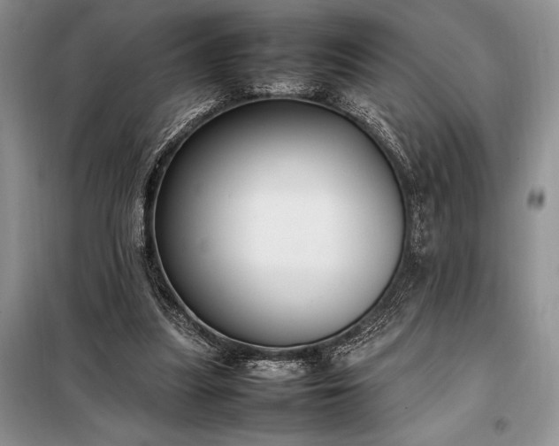X0000098190251200805011130