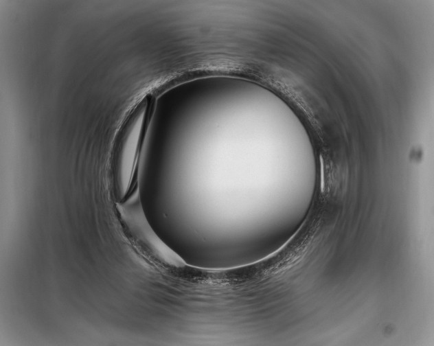 X0000098190252200805011130