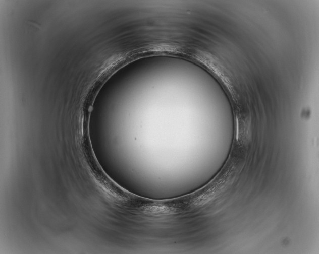 X0000098190253200805011130