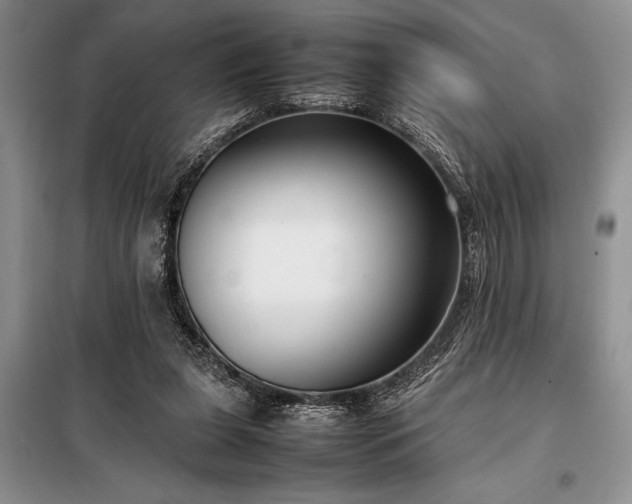 X0000098190255200805011130