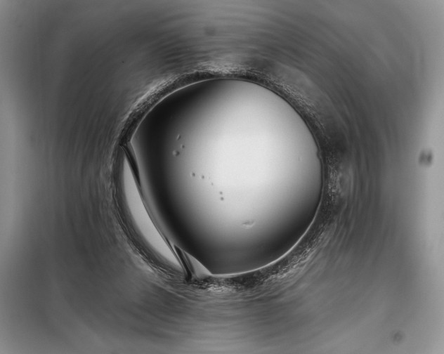X0000098190256200805011130