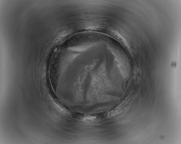 X0000098190257200805011130