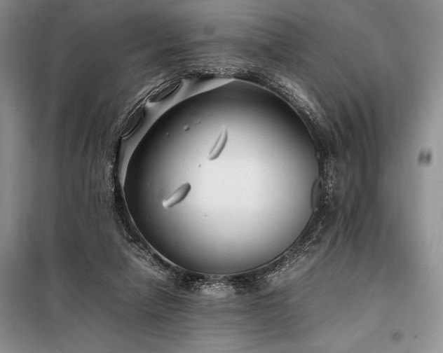 X0000098190258200805011130