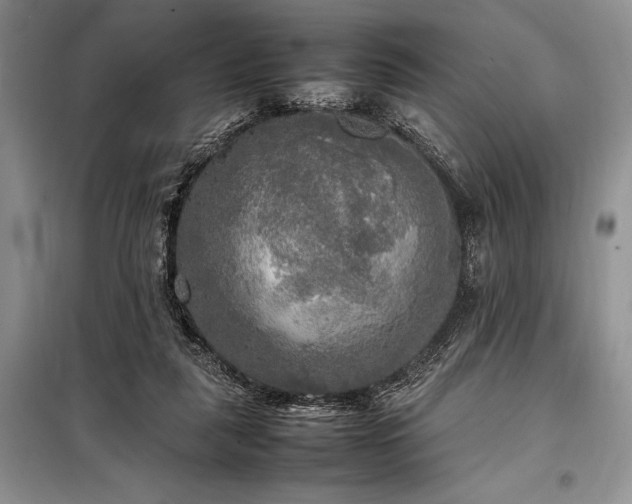 X0000098190259200805011130
