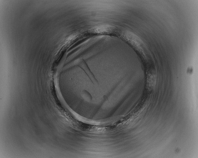 X0000098190260200805011130
