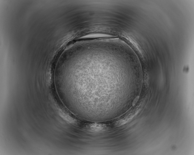X0000098190261200805011130