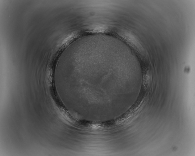 X0000098190264200805011130