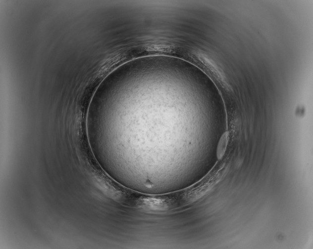 X0000098190265200805011130