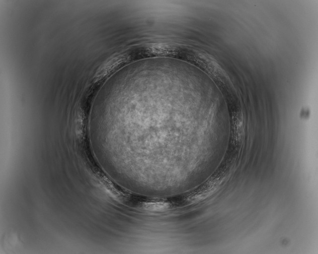 X0000098190266200805011130
