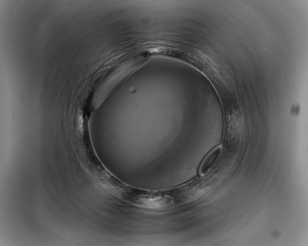 X0000098190267200805011130