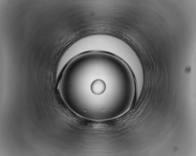 X0000098190268200805011130