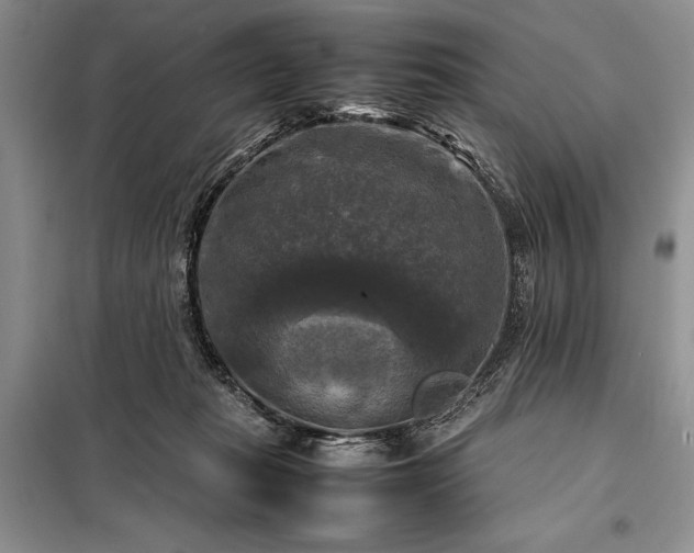 X0000098190269200805011130