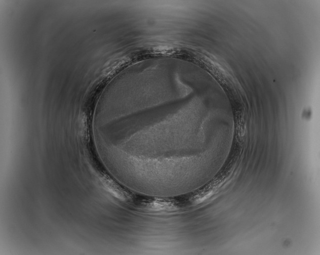 X0000098190270200805011130