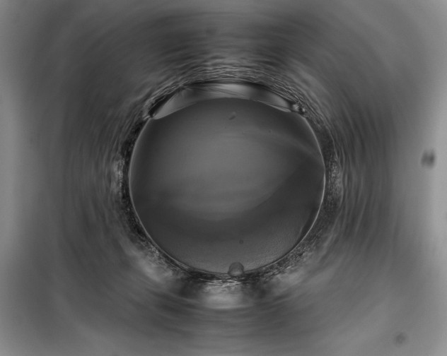 X0000098190271200805011130