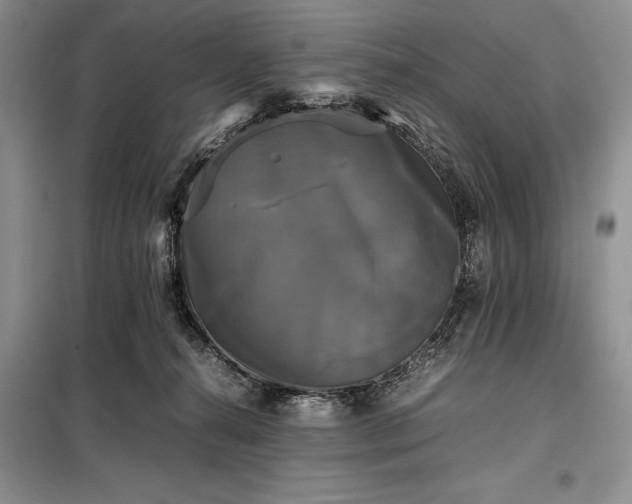 X0000098190272200805011130