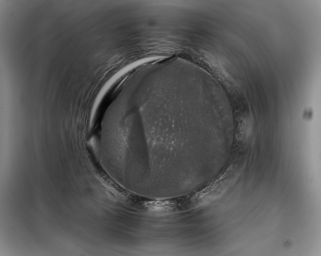 X0000098190273200805011130