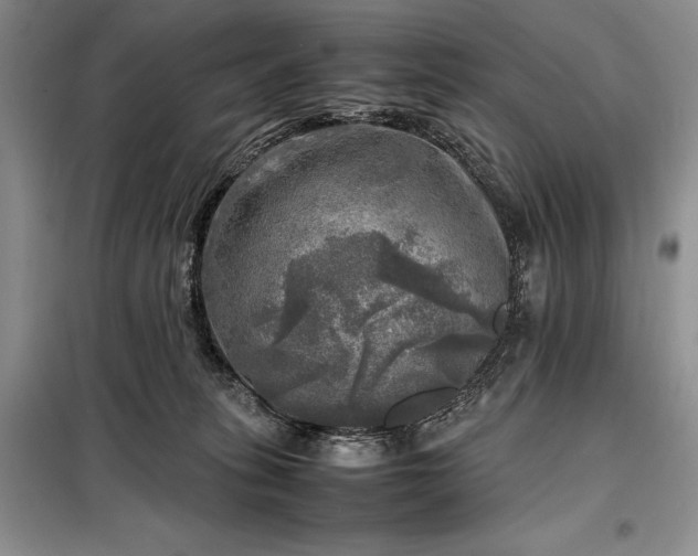 X0000098190275200805011130