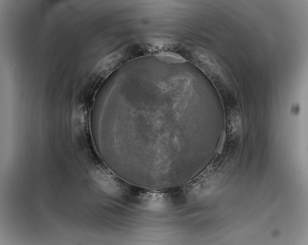 X0000098190276200805011130