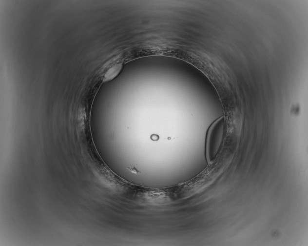 X0000098190279200805011130