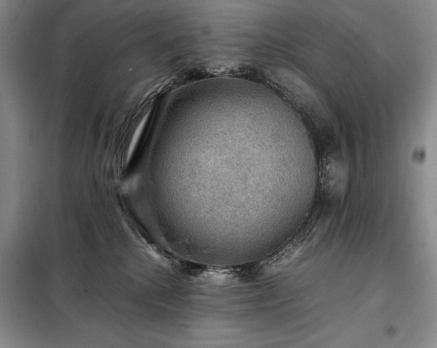 X0000098190280200805011130