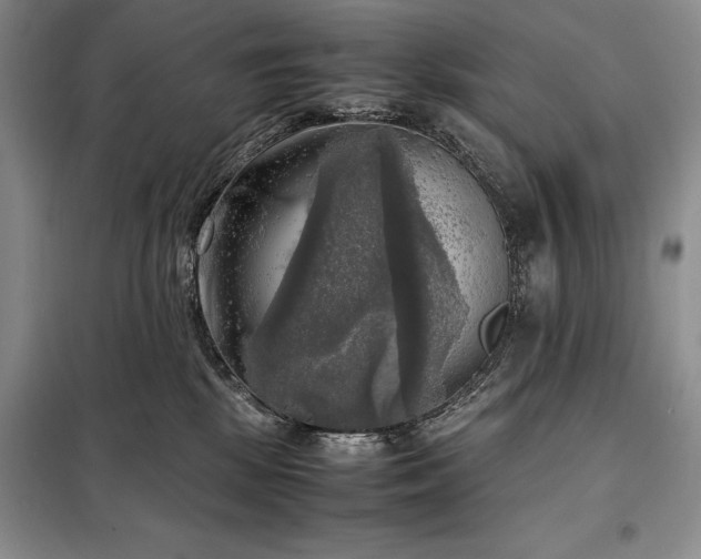 X0000098190281200805011130