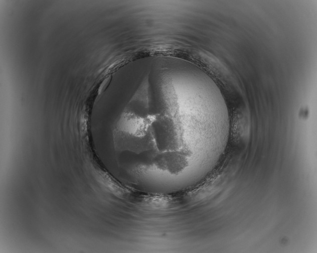 X0000098190282200805011130