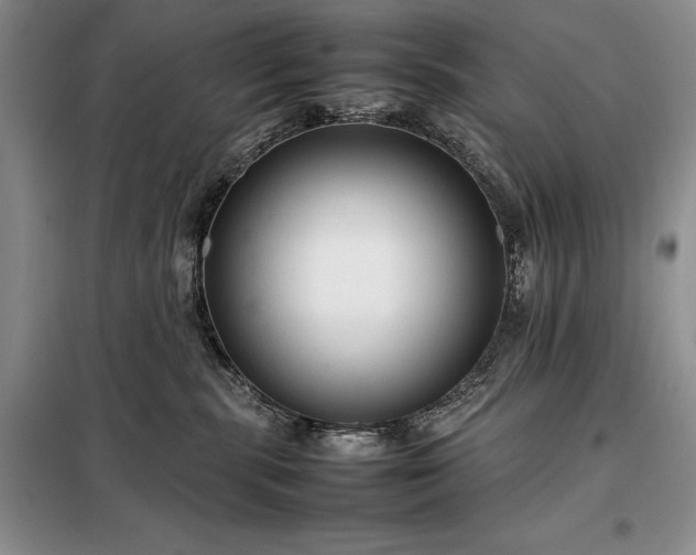 X0000098190283200805011131