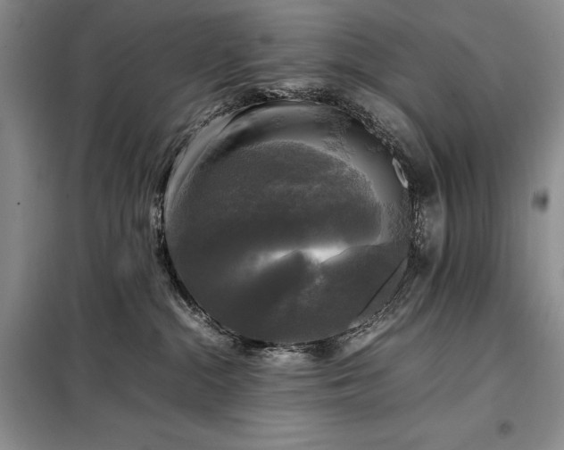 X0000098190284200805011131