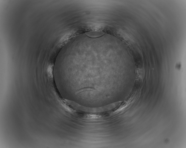 X0000098190286200805011131