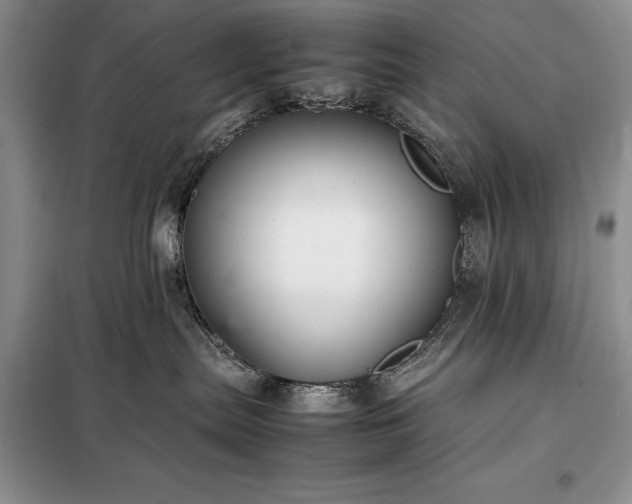 X0000098190287200805011131